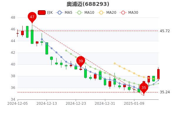 2月21日科创板高换手率股票（附股）