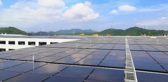 罕见！水产、厨具公司成买基大户，更有这些“新面孔”也在列