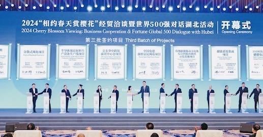 世界500强对话湖北,2025“相约春天赏樱花”经贸洽谈活动将于3月启动
