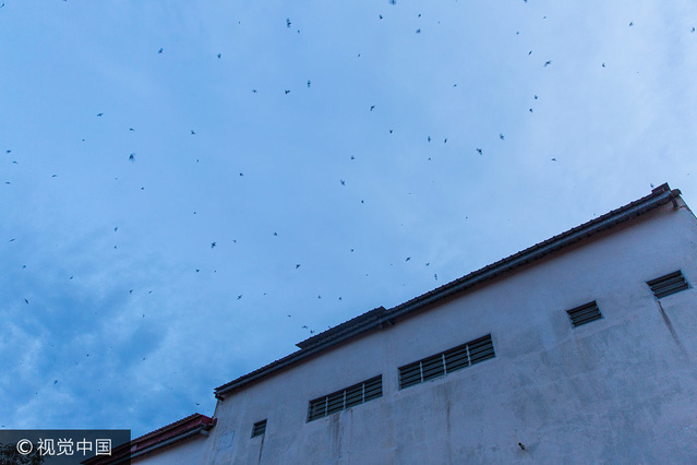 德业股份拟1.943亿元马来西亚买地设立生产基地