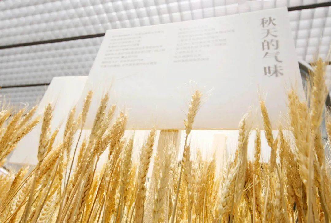 华润万象生活发布2024年度业绩：核心指标稳增 加速转型城市空间运营服务商