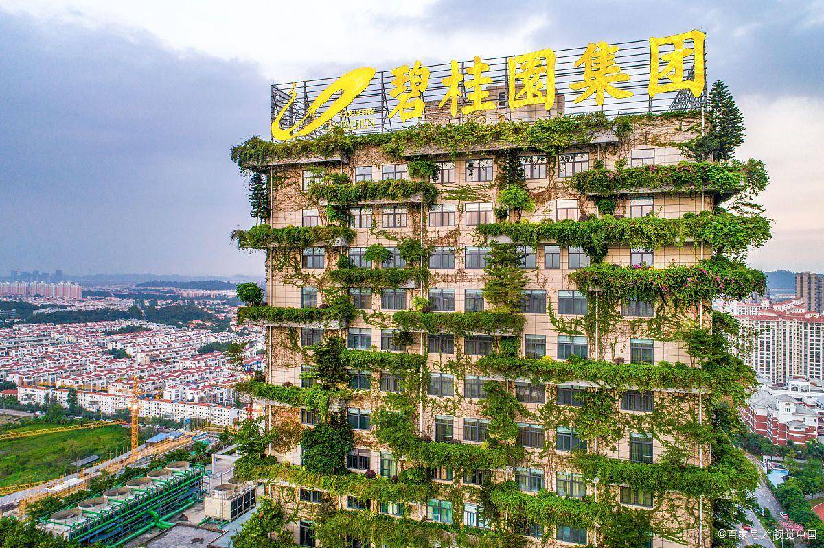 碧桂园最新发布!