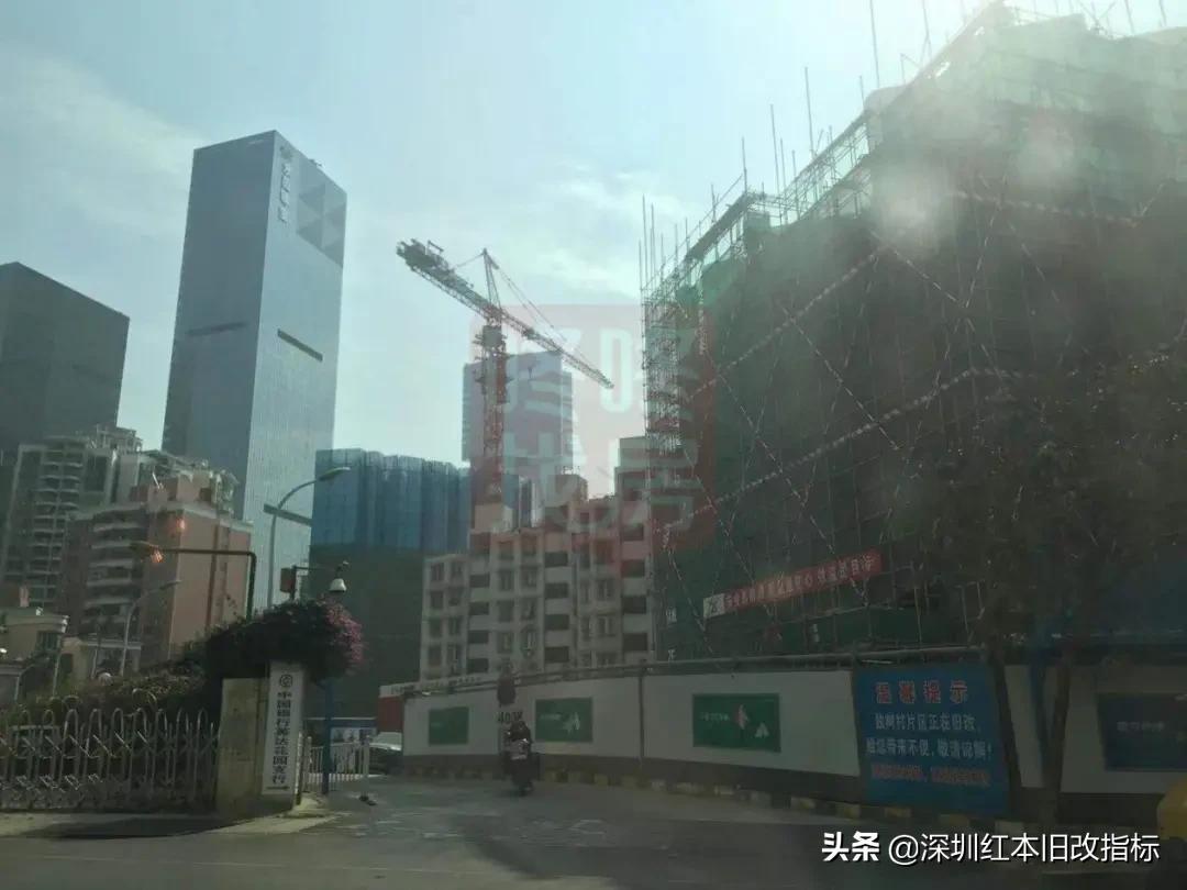 实探 | “我们没有自乱阵脚！”关税重压下，大湾区中小外贸企业迎难而上