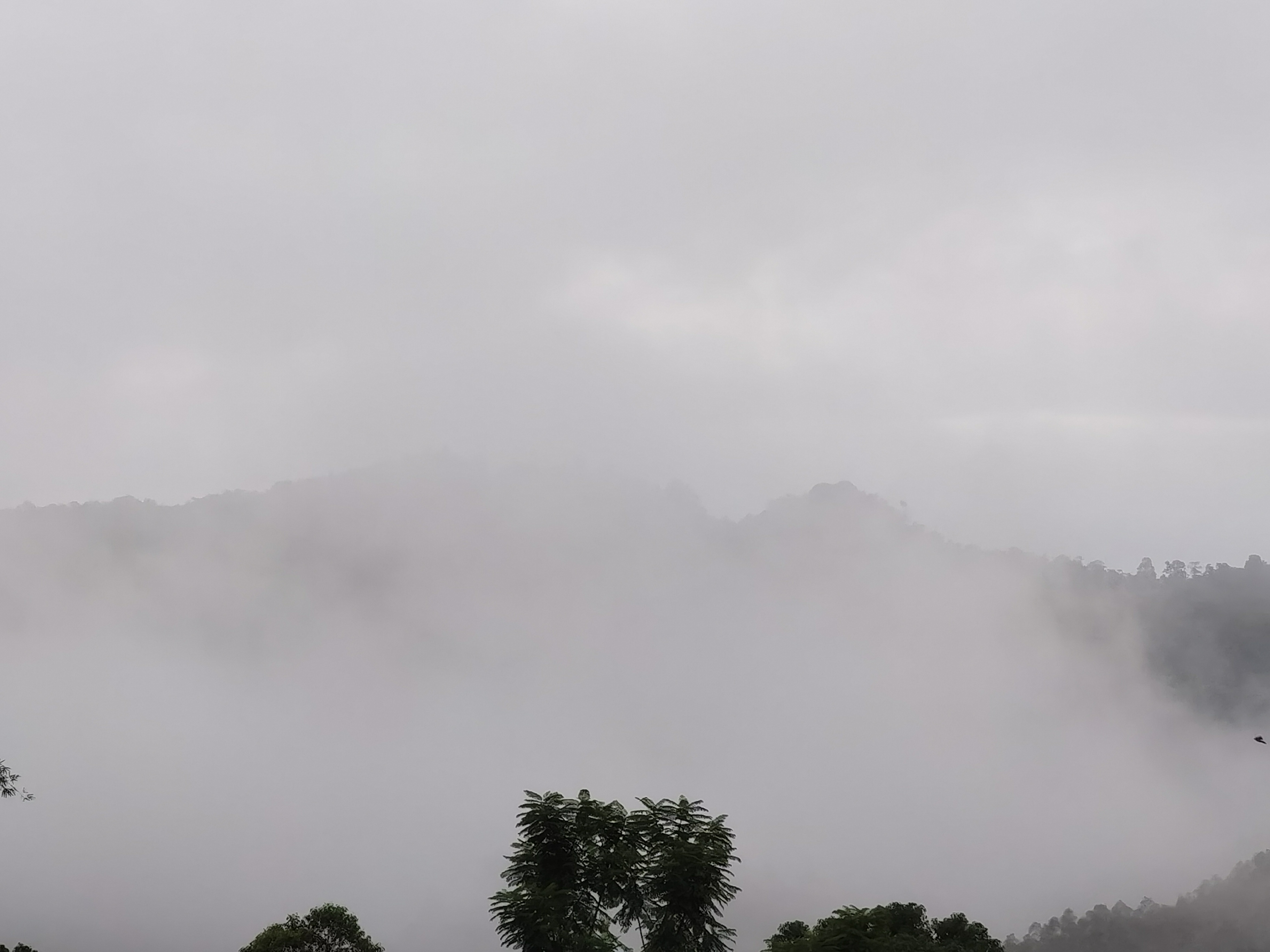 避险情绪浓厚!这一市场,持续大涨!