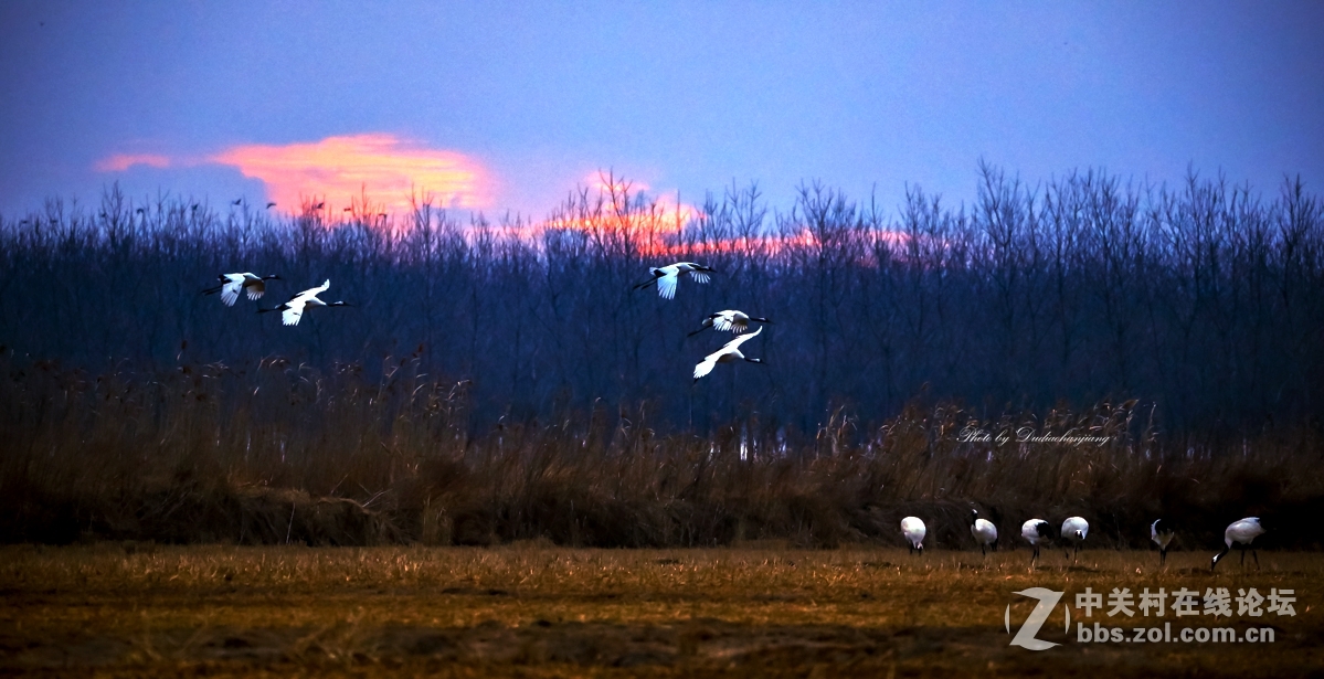 156只股中线走稳 站上半年线