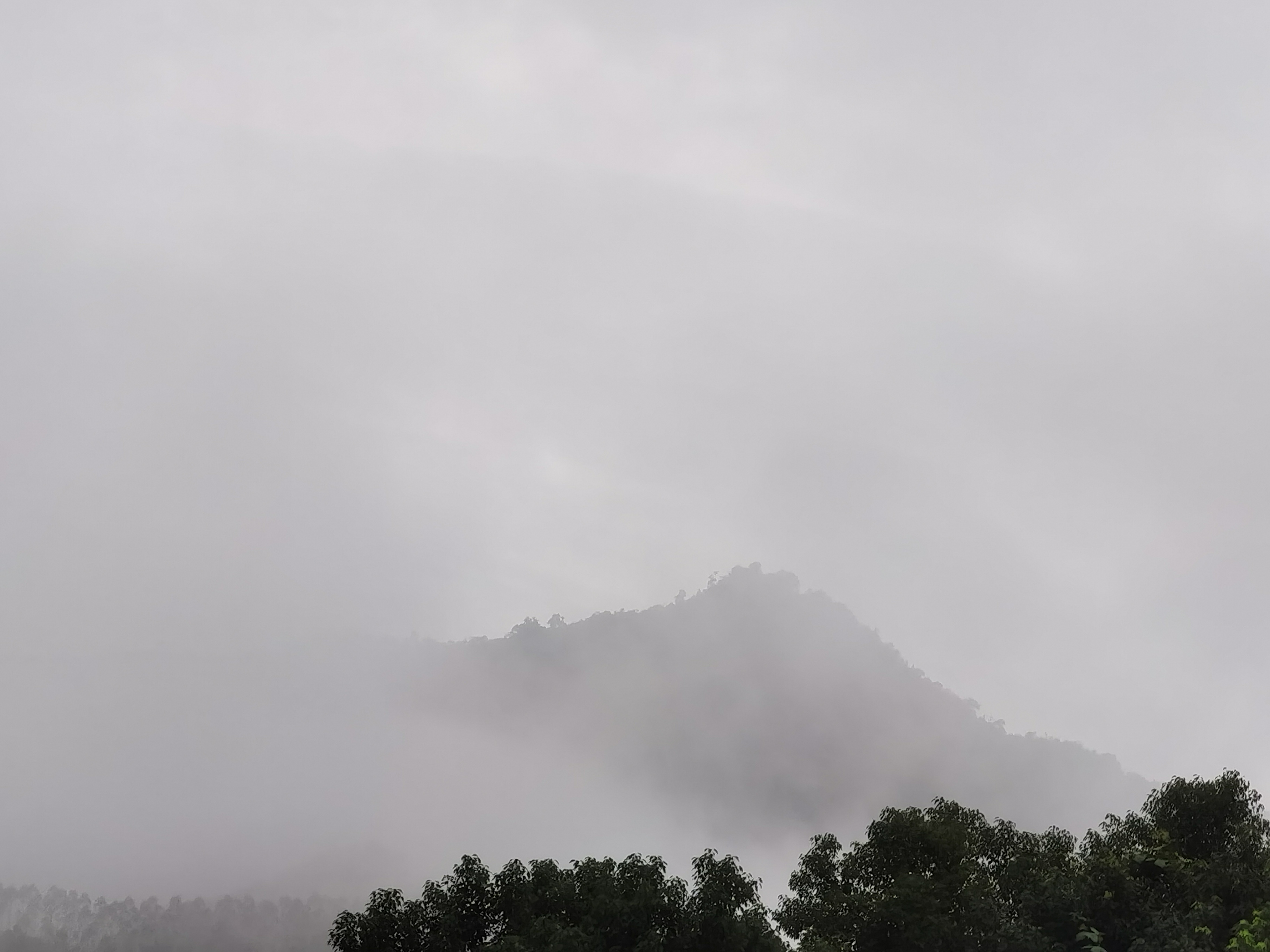 避险情绪浓厚!这一市场,持续大涨!