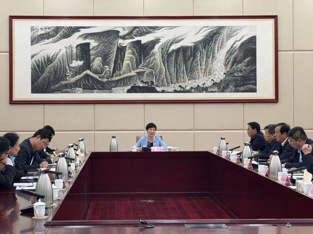 全国医保基金管理突出问题专项整治工作部署推进会议在京召开