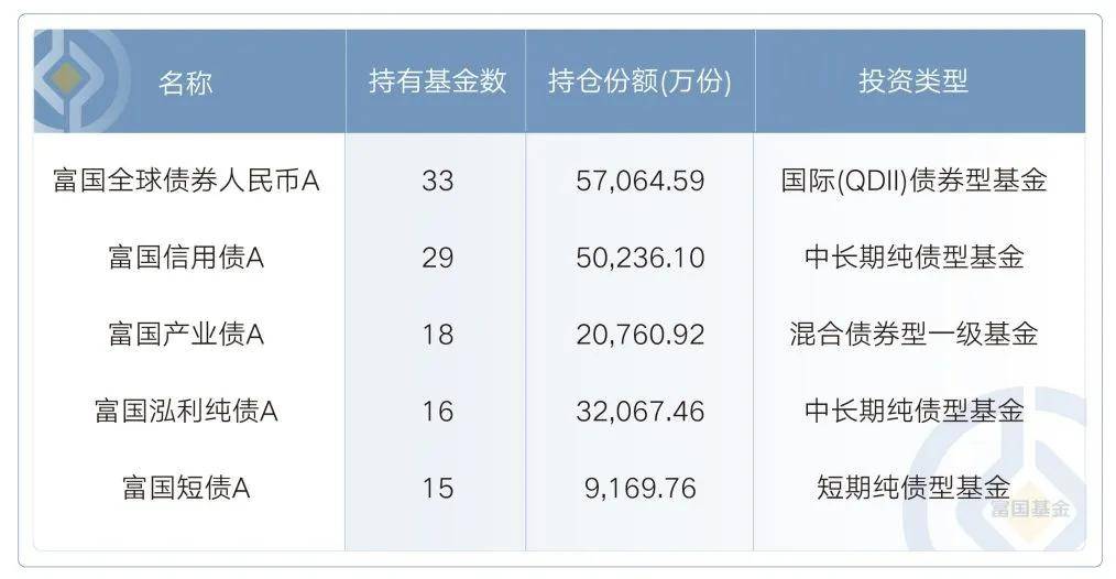 2024年基金业绩TOP10：股基、债基、QDII，领跑者重仓什么？