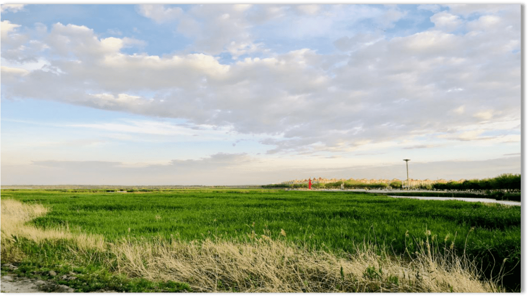 九洲集团泰来、富裕生物质电厂首笔绿证交易完成