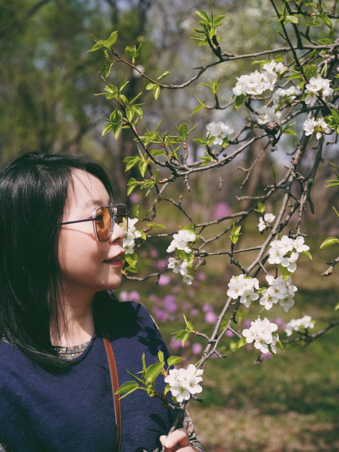 春日赏花游持续升温 众信旅游相关产品迎来大卖