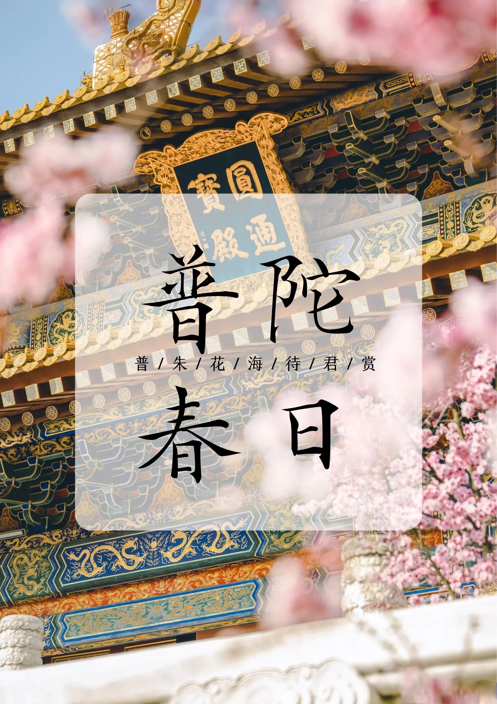 春日赏花游持续升温 众信旅游相关产品迎来大卖