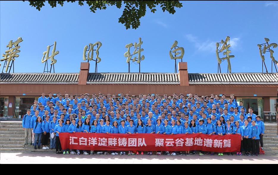 维信诺：拟对全资子公司霸州云谷业务规划进行调整