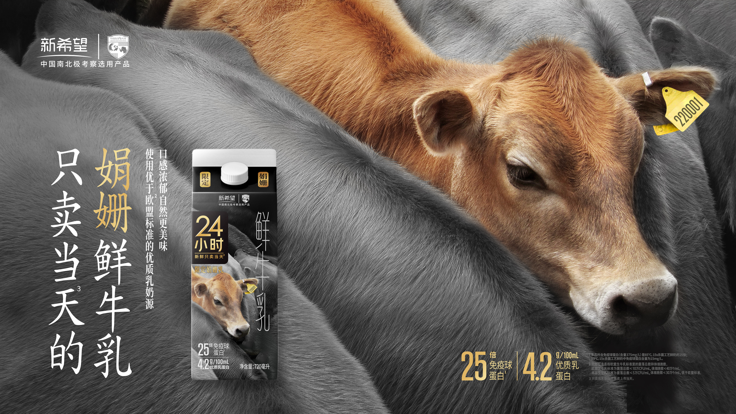新乳业最新股东户数环比下降5.12%