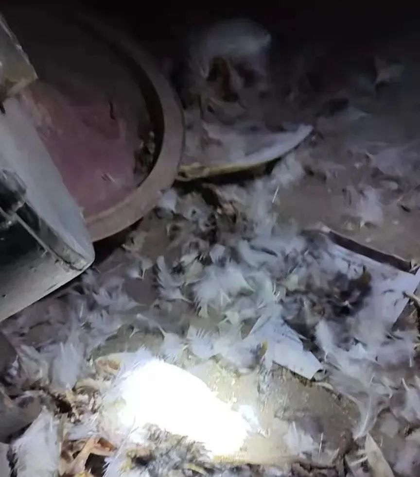 从“宏大叙事”到“一地鸡毛”!新消费的估值杀到位了吗?