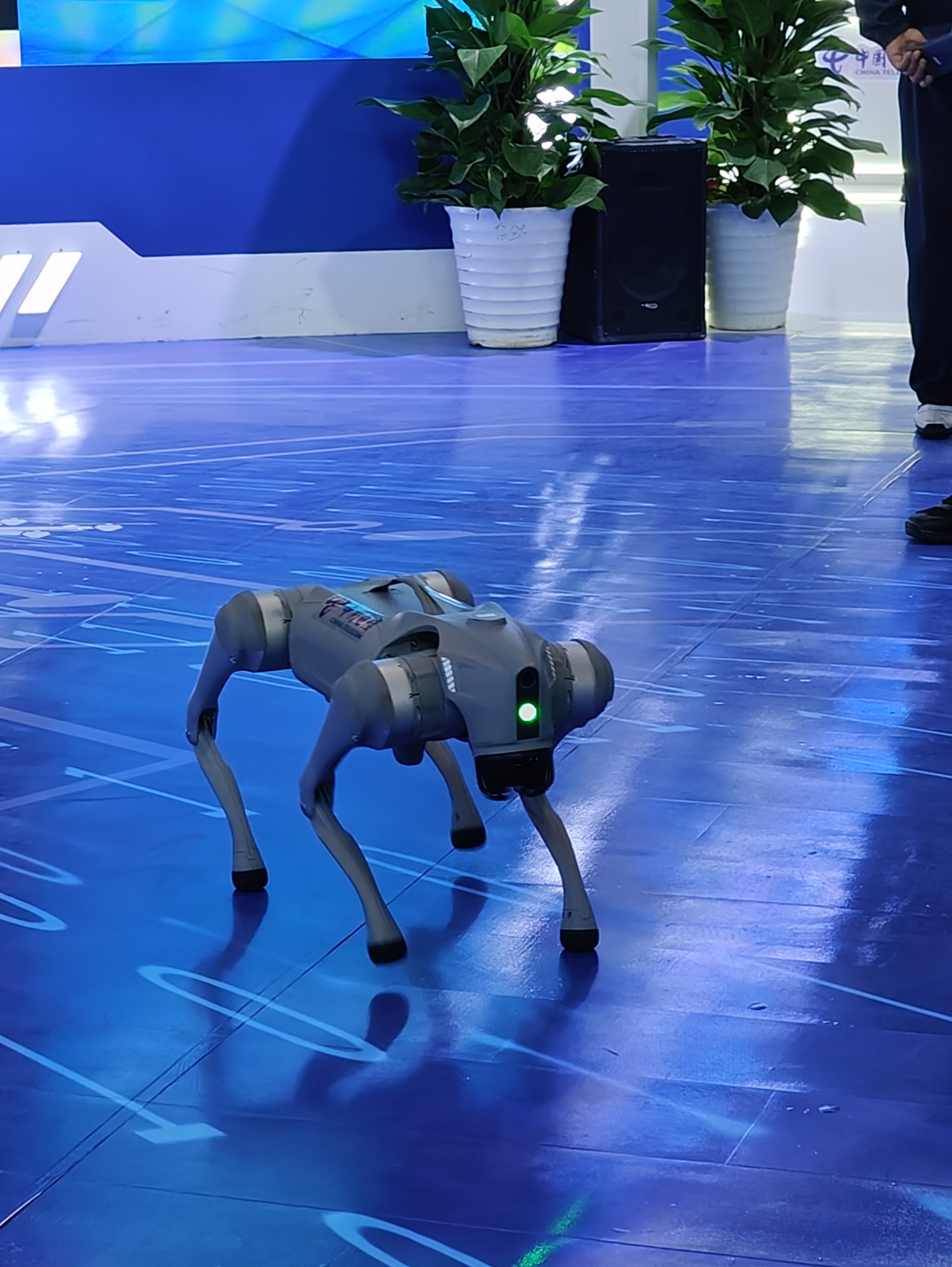 从X5到全景无人机!影石创新以全品类布局+软硬件协同领跑全球