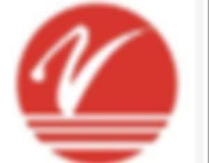 撤回A股申请后，全球第三大N型TOPCon电池厂商港股突围