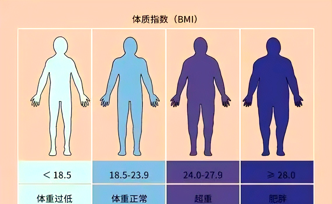 别只盯着体重秤！科学评估和管理健康体重这样做
